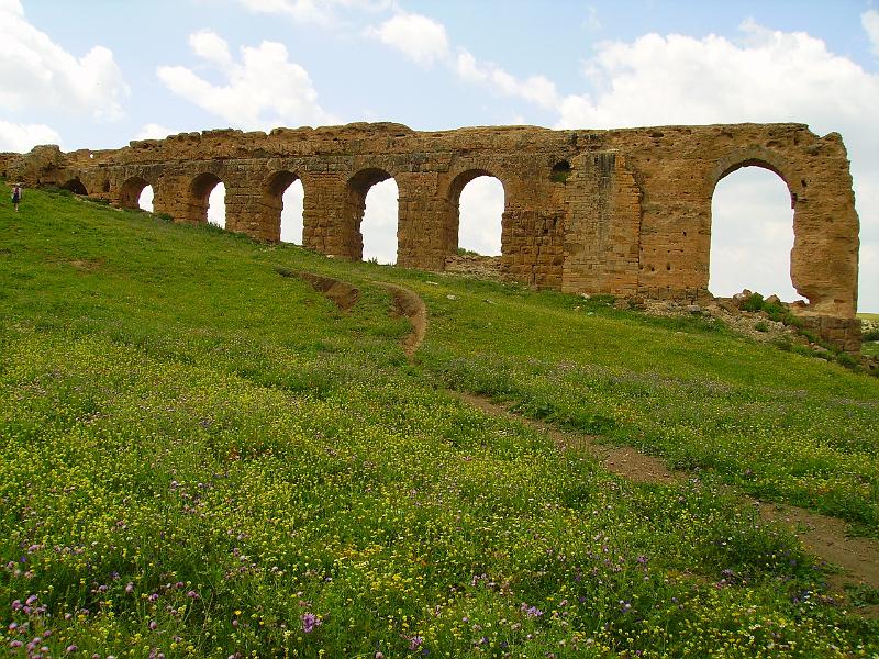 Carthage - Ain Jouggar CM04.JPG